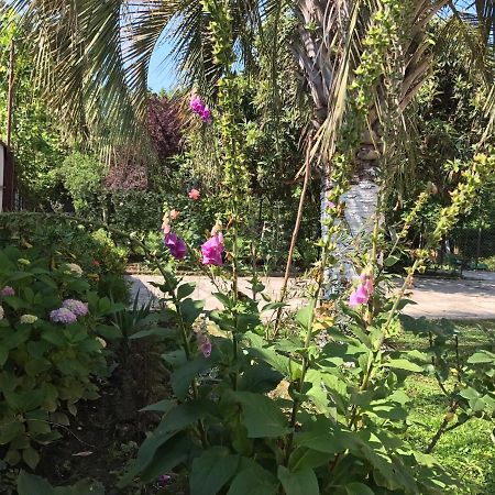 Guest House Evkalipt Ochamchira Exterior photo