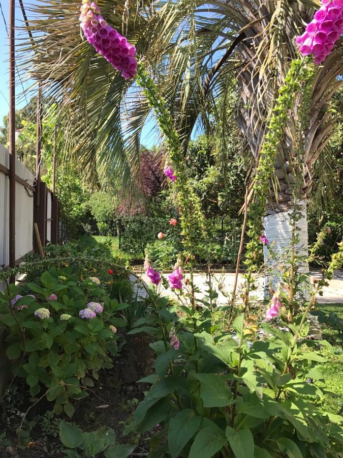 Guest House Evkalipt Ochamchira Exterior photo